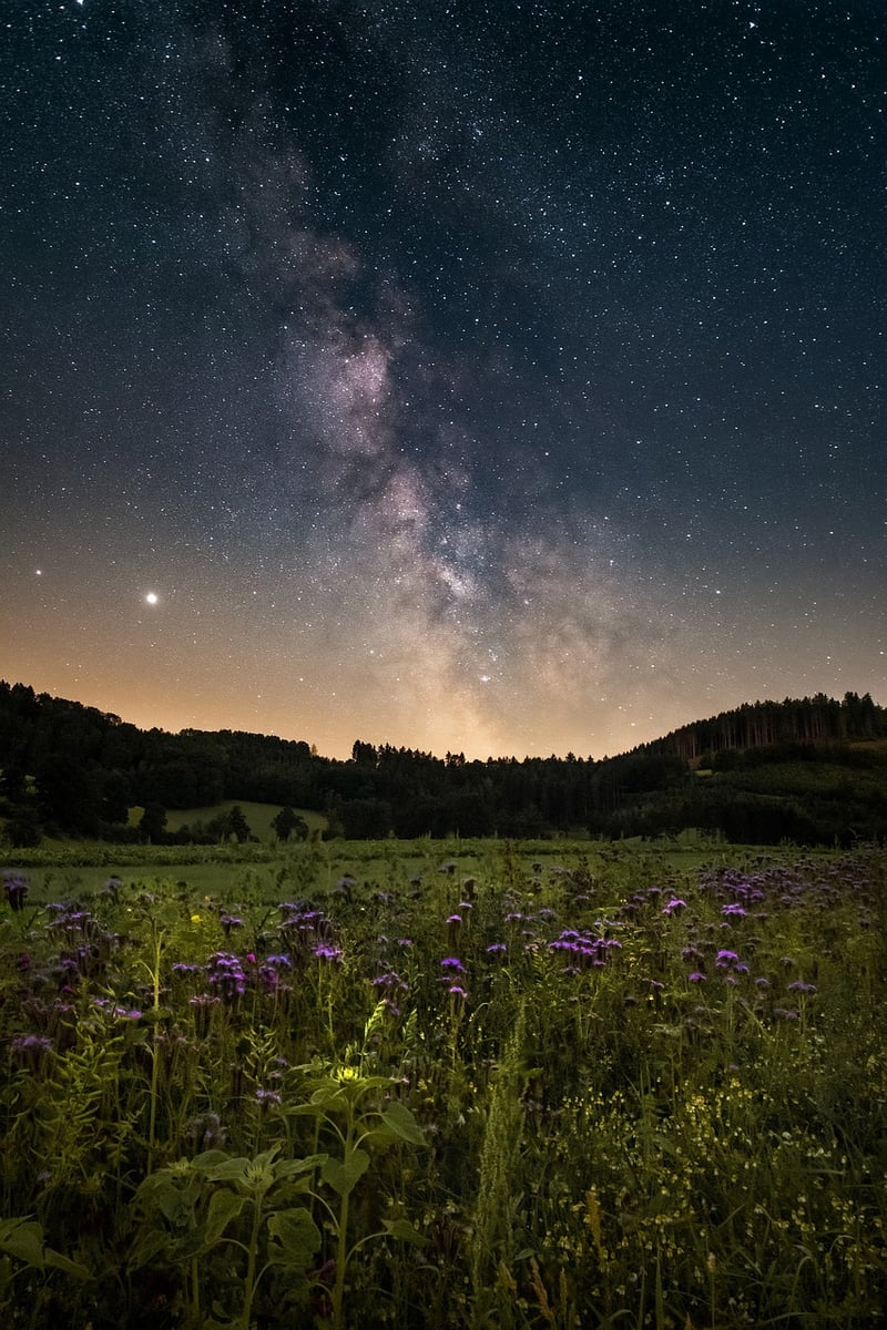 Galactic Discoveries